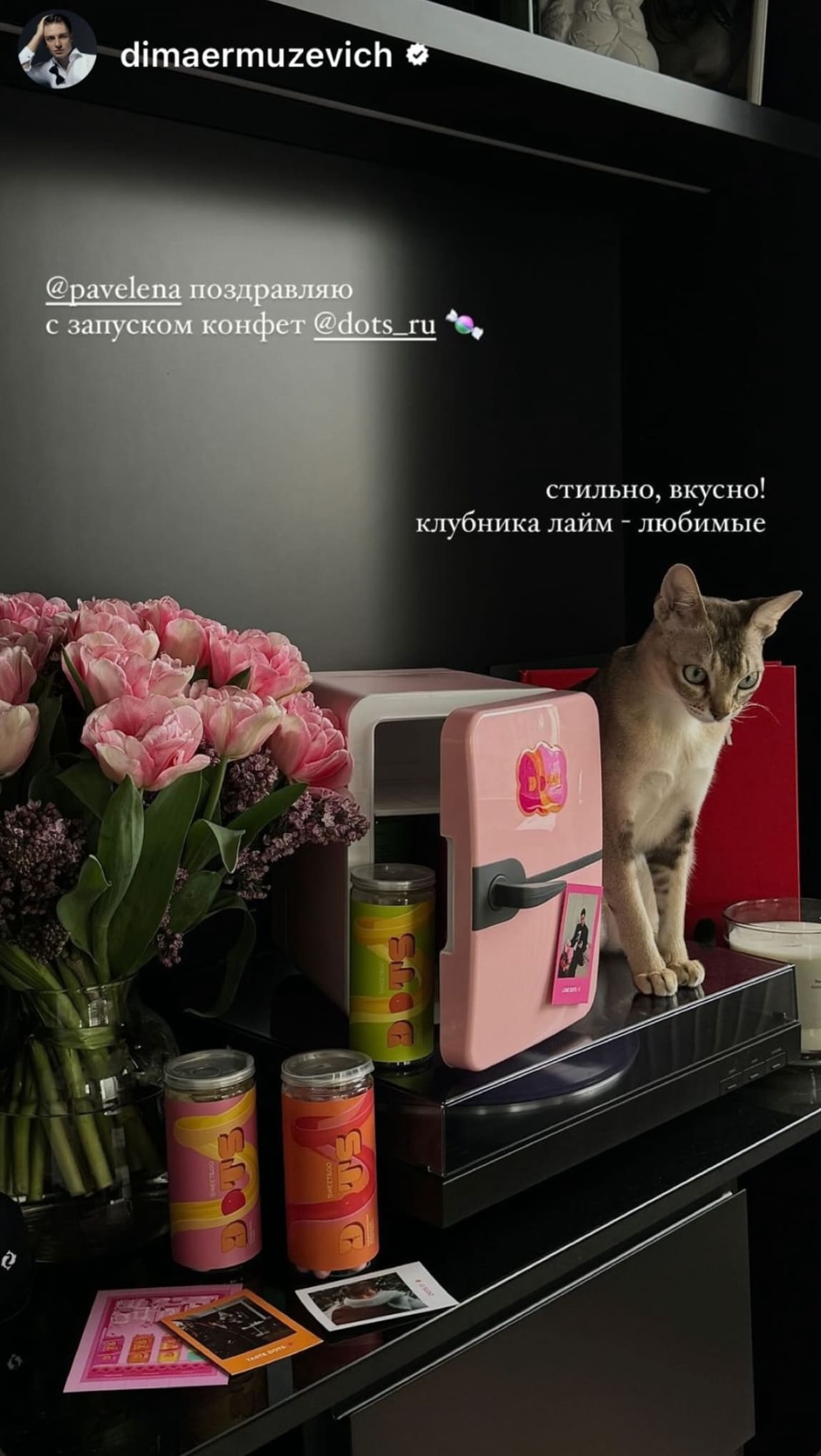 DOTS друзья 24